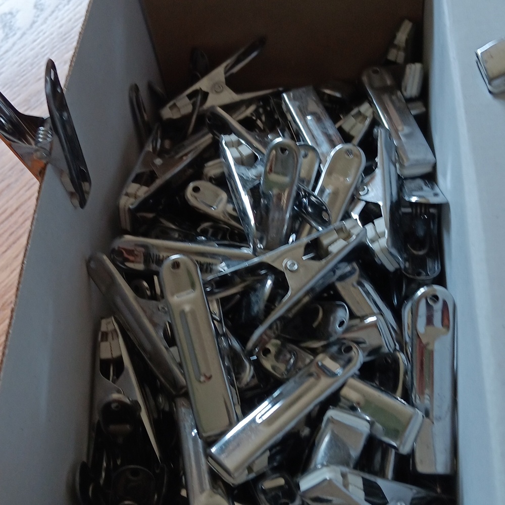STAINLESS STEEL CLOTHES PINs